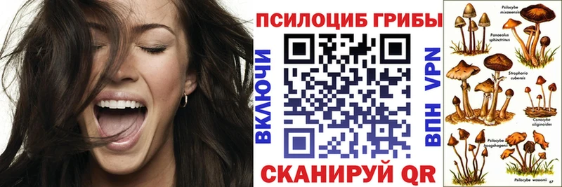 сколько стоит  Киров  Галлюциногенные грибы Psilocybine cubensis 